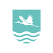 FOCUS icon