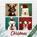 Yeni Yıl Kolaj Yapma – Noel Fotoğraf Çerçeveleri APK