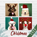 Cadres de Noël Collage Maker - Photo Editor APK