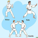 collection of karate moves APK