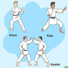 colección de movimientos de karate icono