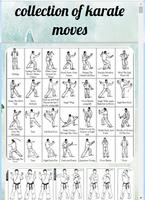 colección de movimientos de karate Poster