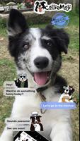 CollieMoji - Border Collie Emo Affiche