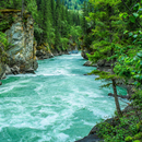 Nature Wallpaper APK