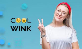 Cool Wink poster