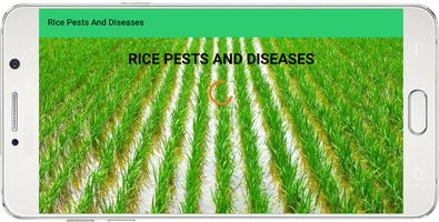 Rice Pests And Diseases Poster