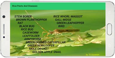 Rice Pests And Diseases ảnh chụp màn hình 1