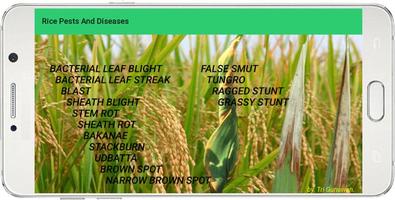 Rice Pests And Diseases تصوير الشاشة 2