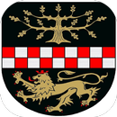 Reich APK