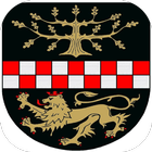 Reich icono