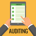 Financial Auditing icône