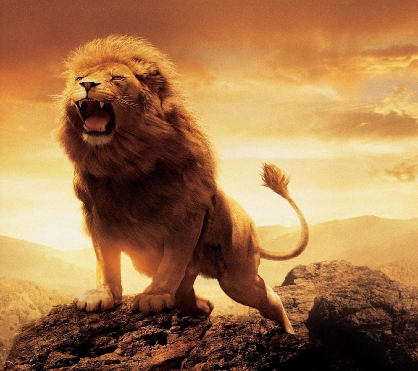 Lion Wallpaper For Android - APK Download