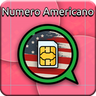 numero americano cellulare アイコン