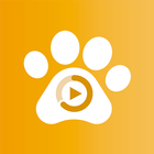 PetPlay - Cuidado animal com c icône
