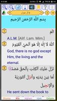 Holy Quran captura de pantalla 2