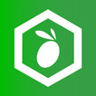 Bee2Crop icon