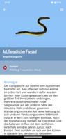 WWF Fischratgeber ภาพหน้าจอ 2