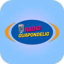 Radio Guapondelig APK