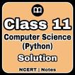 Class 11 Computer Science MCQs