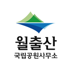 월출산국립공원 icône