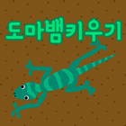 Lizard Game icône