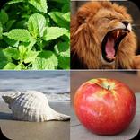 حيوانات و نباتات