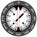 Compass PRO