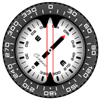 ikon Compass