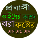 প্রবাসী ভাইদের কষ্টের এস এম এস APK
