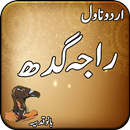 Raja Gidh Novel By Umera Ahmed APK