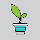 Comment remplir Boutures Plante APK