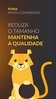 Puma - Redimensionar Fotos Cartaz
