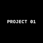 Project 01 icon