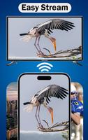 AirPlay screenshot 2