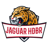 Jaguar HDBR icône