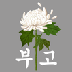 모바일 부고장 아이콘