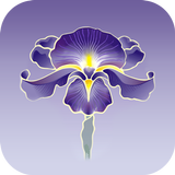 Iris uitvaartzorg icône