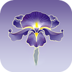 Iris uitvaartzorg-icoon