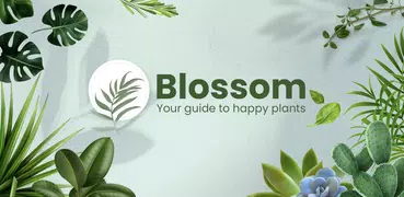 Blossom - Pflanzen bestimmen