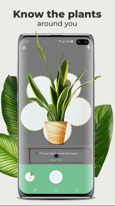 Blossom for Android  APK Download