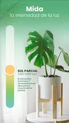 Descargar XAPK de Blossom - Identifique plantas