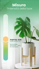 download Blossom - Riconosci le piante XAPK