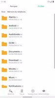 Gestionnaire de fichiers capture d'écran 4