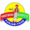 Punjabi Food