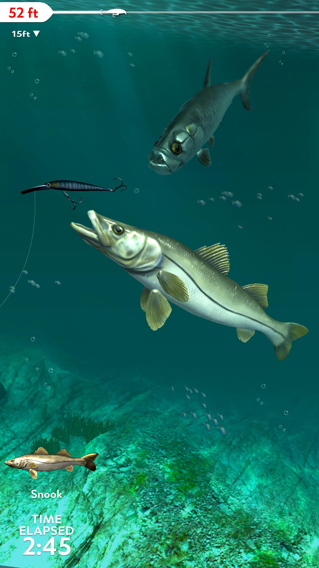 Rapala Fishing APK for Android Download