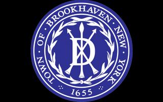 Brookhaven 截圖 2