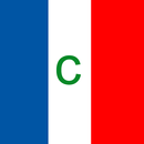 Conjugate French verbs APK