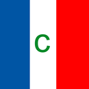 DC Conjugaison française APK