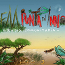 Fm Punta del Indio APK