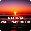 Natural HD Wallpapers 2019 aplikacja